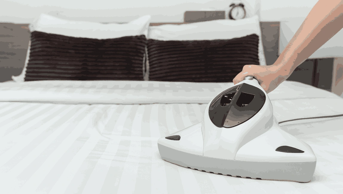 Professional Mattress Cleaning Exford